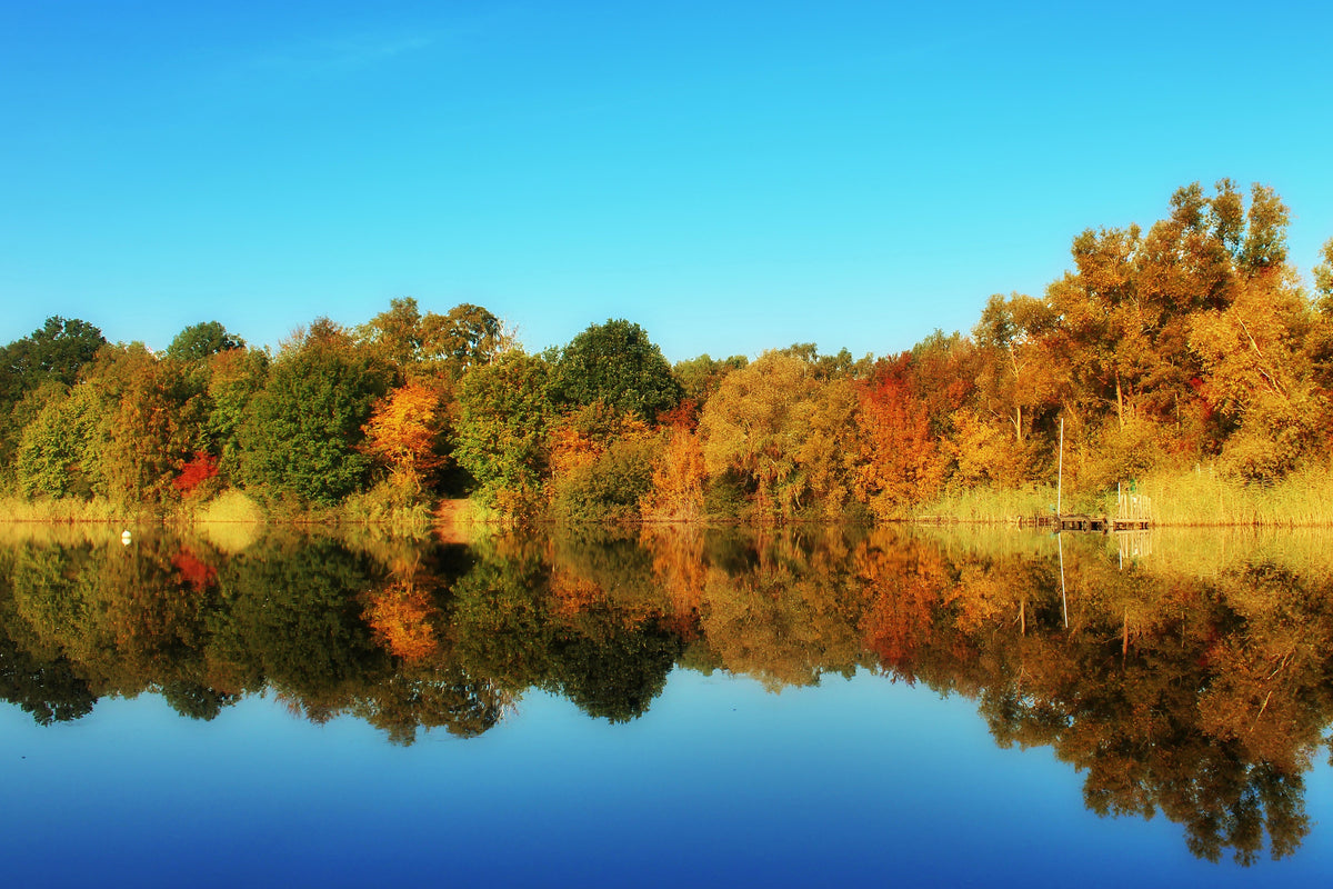 framedcanvas-print-autumn-reflections