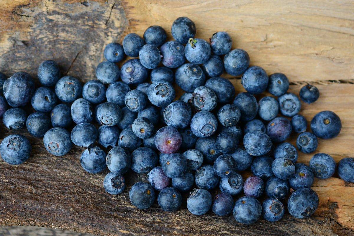 framedcanvas-print-fresh-blueberries