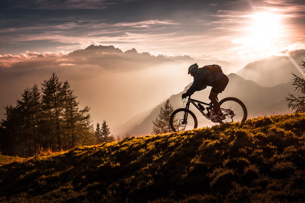 acrylic-print-golden-hour-biking-x