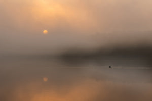 canvas-print-autumn-fog-over-the-water