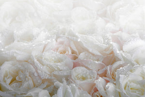 acrylic-print-white-roses-in-the-morning-dew