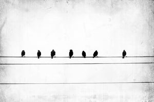 canvas-print-sheet-music