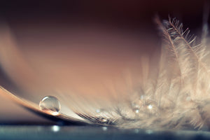 framedposter-print-stories-of-drops
