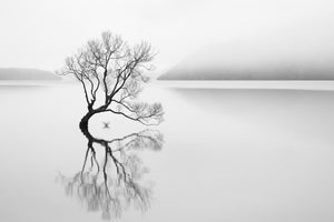 acrylic-print-serenity-xqn