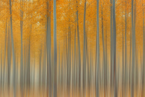 modern-3-piece-canvas-print-autumn-delight-ii