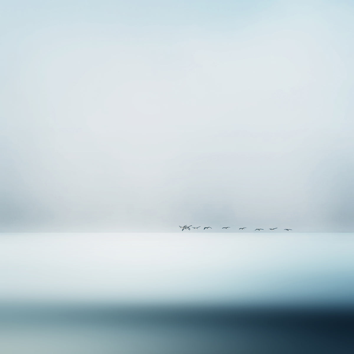 9-piece-canvas-print-wild-geese