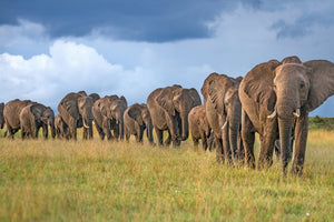 acrylic-print-the-land-of-the-giants-x