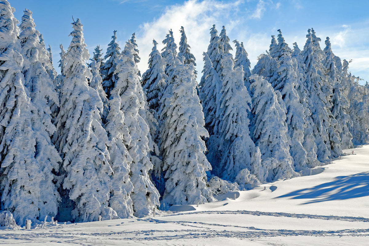 canvas-print-beautiful-winter-landscape