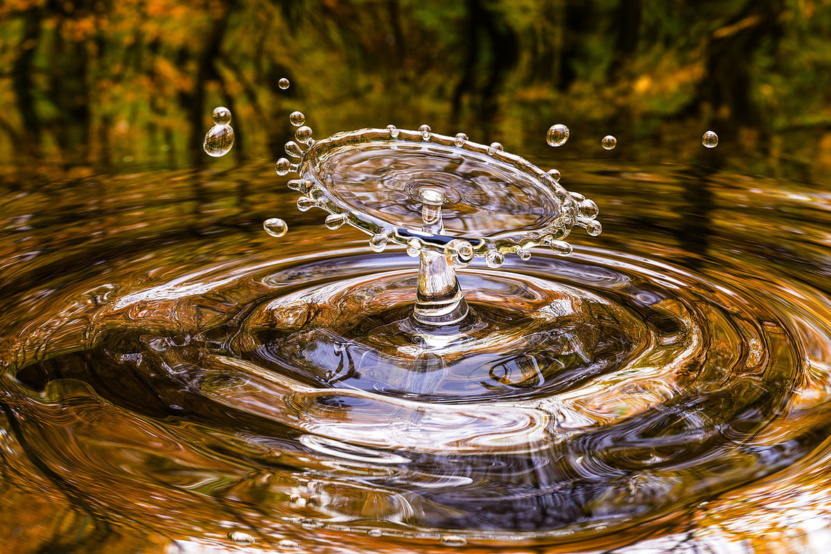 framedcanvas-print-blubb