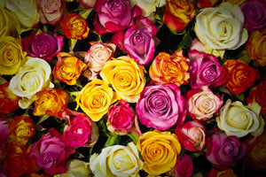 modern-3-piece-canvas-print-many-colorful-rose-petals