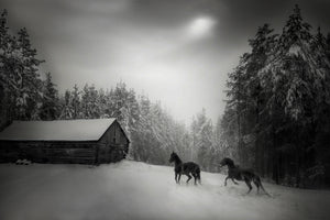 canvas-print-untitled-xpe