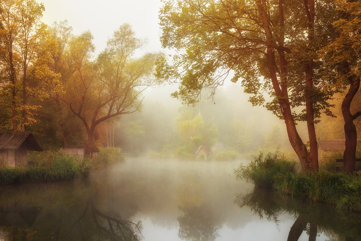 canvas-print-foggy-autumn-x