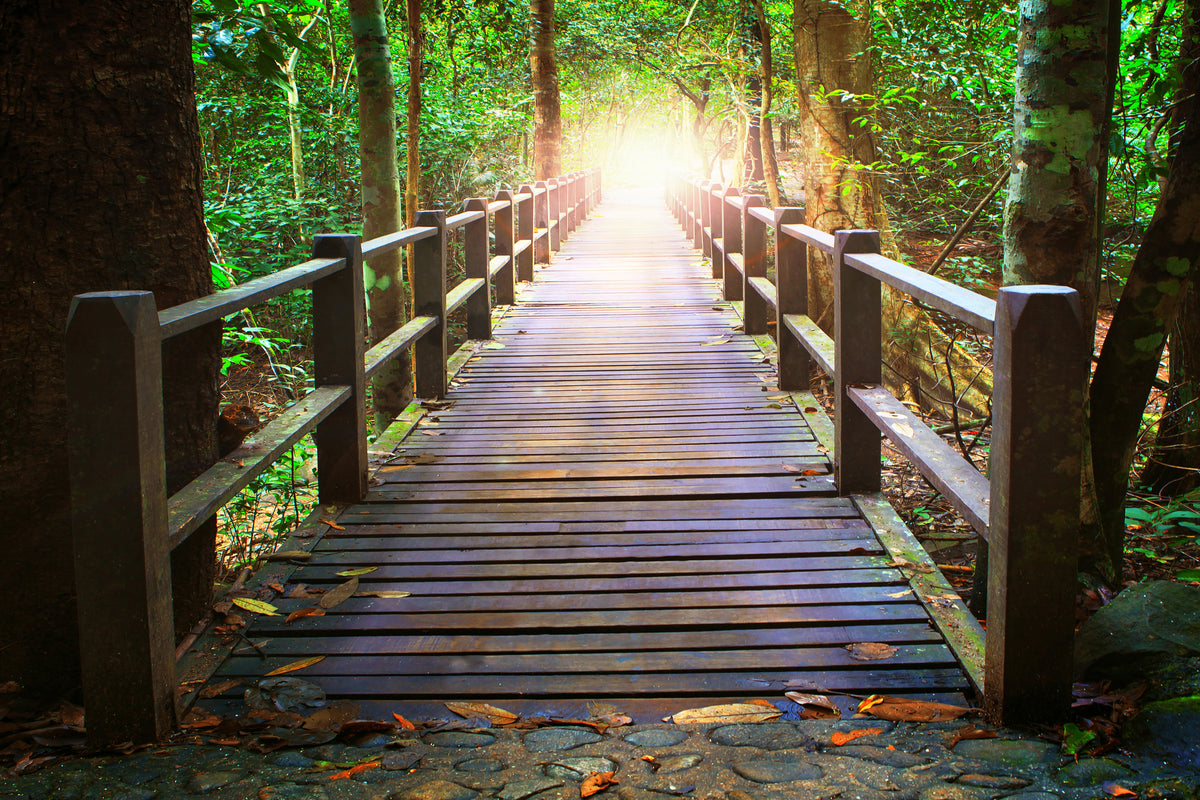 framedcanvas-print-the-bridge-in-the-forest