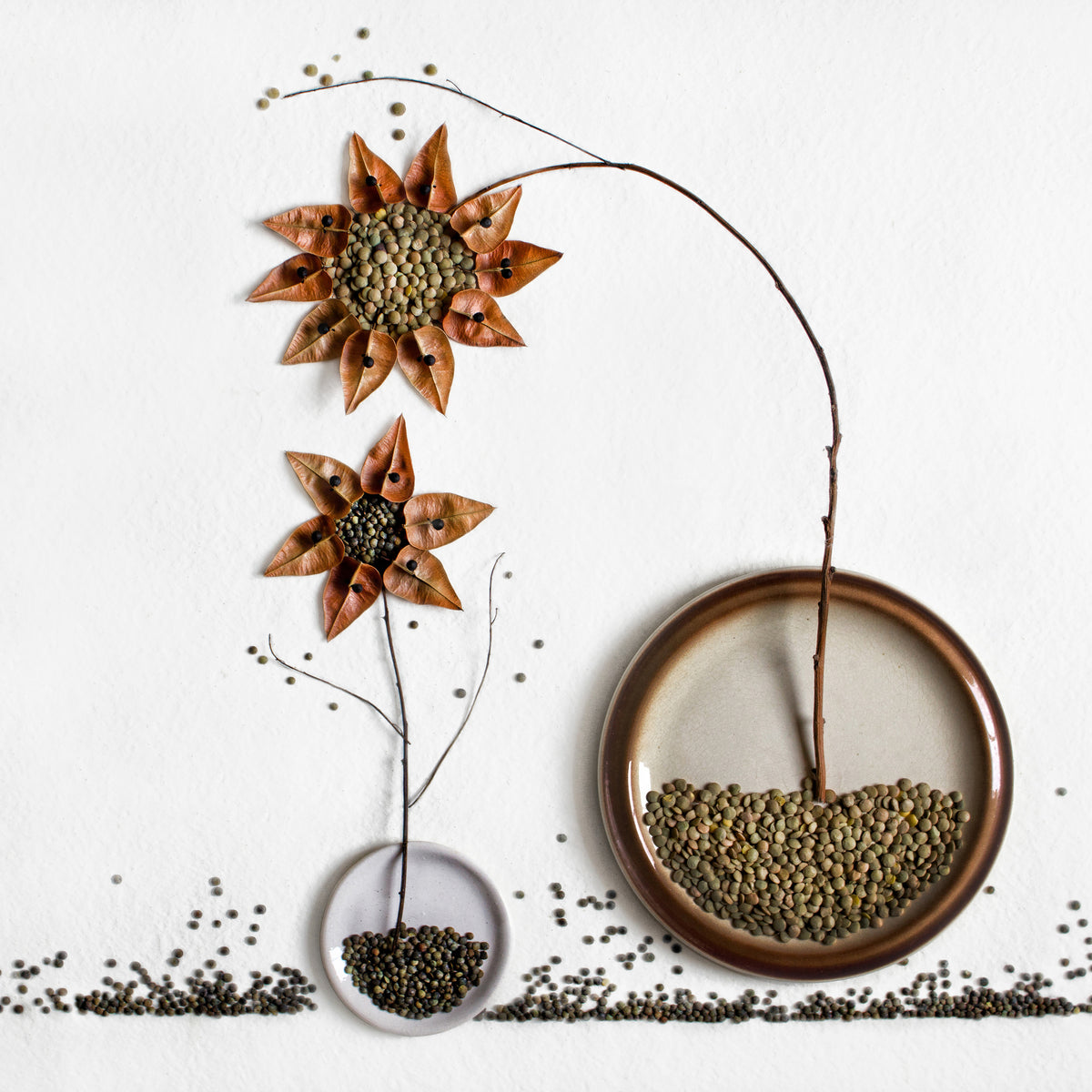 9-piece-aluminium-print-herbarium
