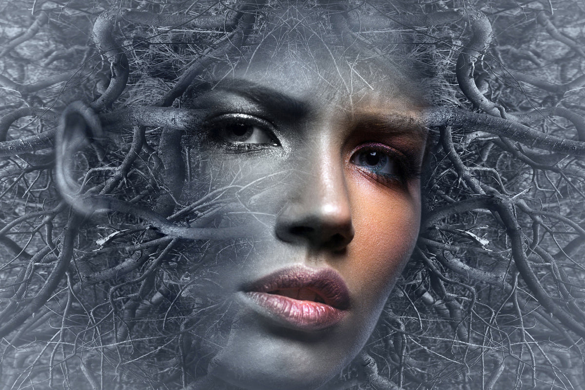 framedposter-print-fantasy-face