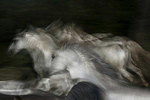 aluminium-print-into-the-dark