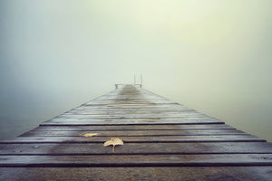 aluminium-print-cold-and-misty-morning-x