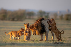 acrylic-print-dad-and-kids-x