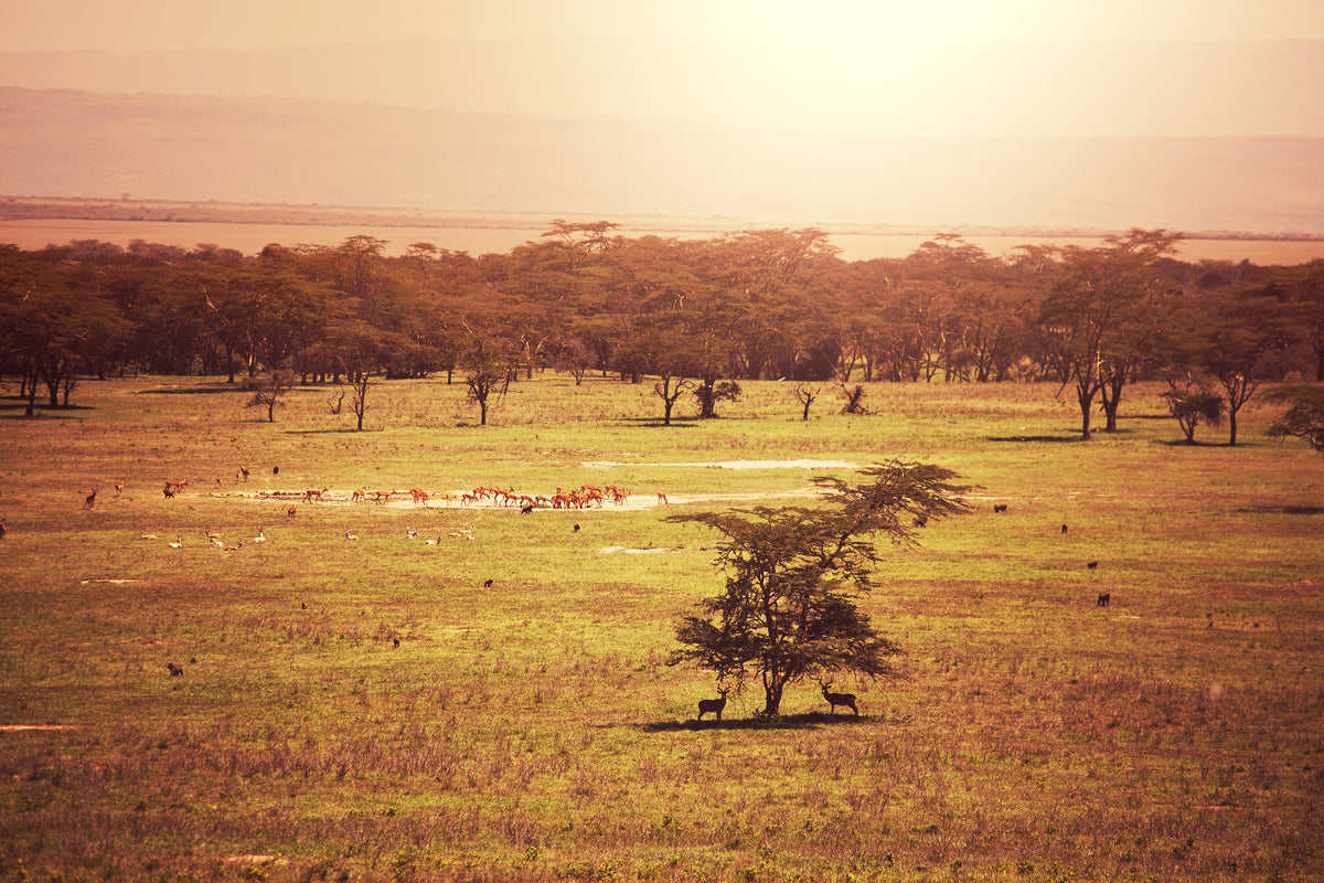 framedcanvas-print-picturesque-africa