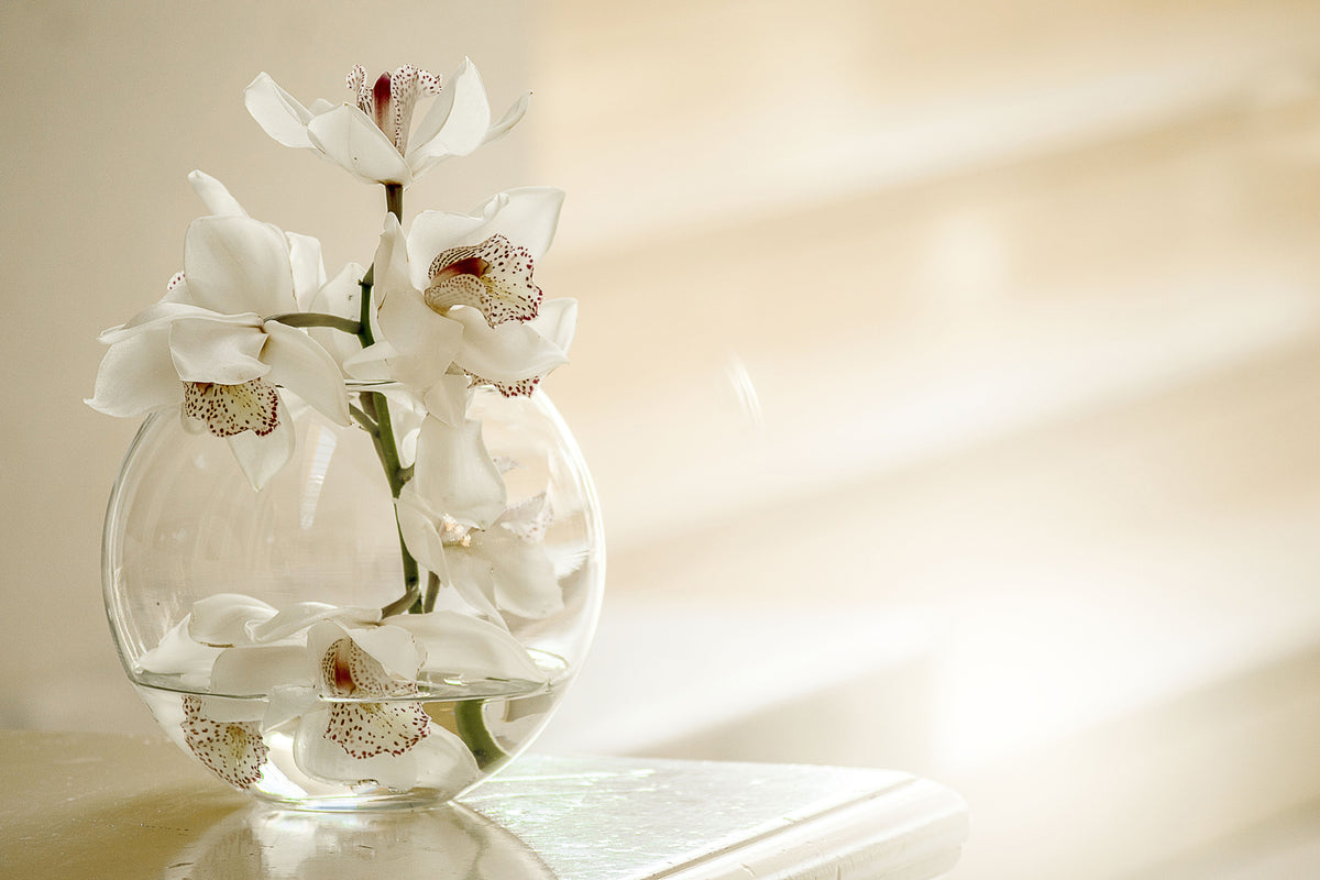 3-piece-acrylic-print-orchid-in-the-glass