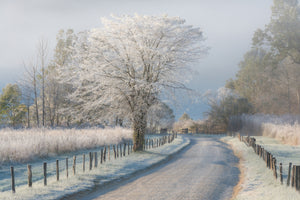 framedcanvas-print-a-frosty-morning