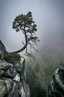 acrylic-print-against-the-odds-x