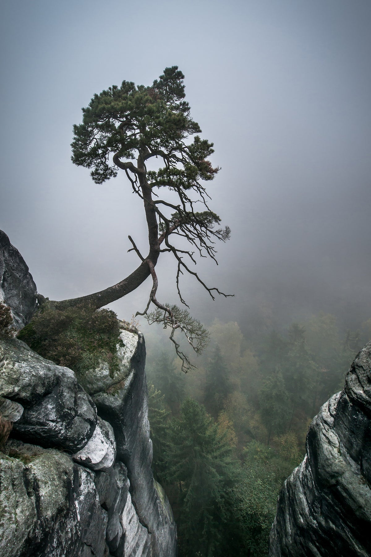 acrylic-print-against-the-odds-x