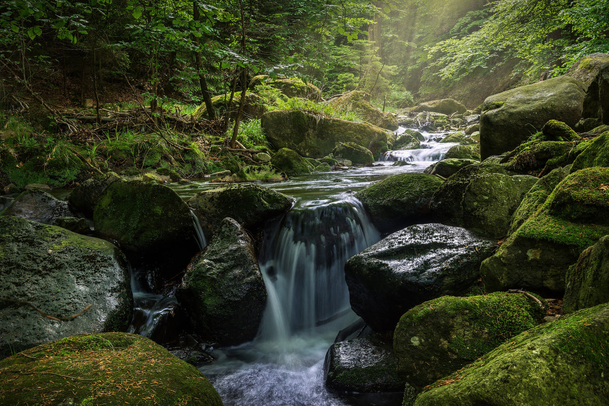 acrylic-print-calming-view