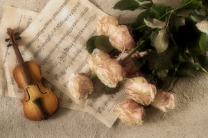 3-piece-acrylic-print-the-violin