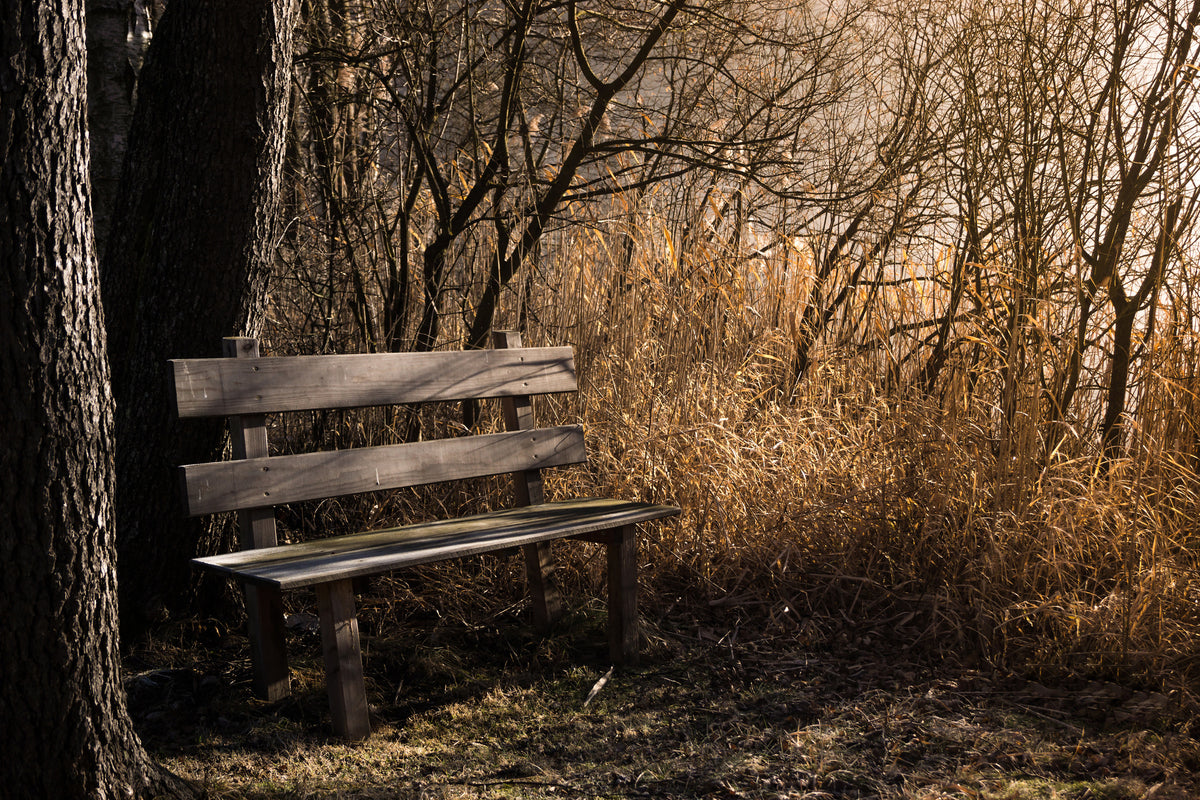 3-piece-aluminium-print-wooden-bench-in-the-forest