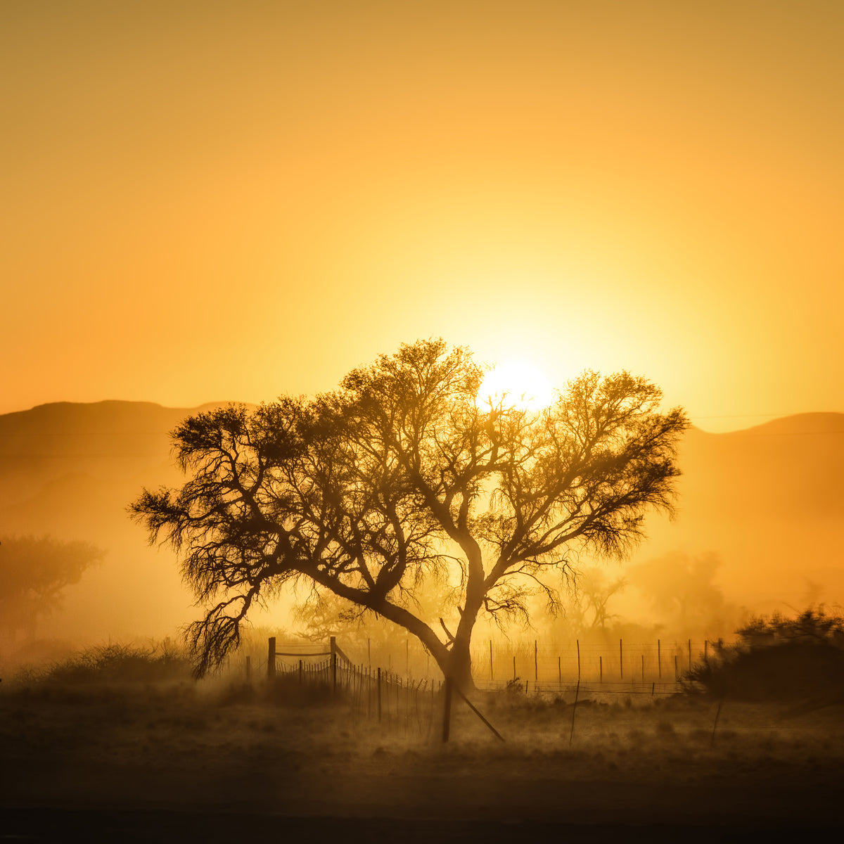 4-piece-aluminium-print-golden-sunrise