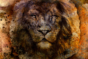 3-piece-canvas-print-portrait-of-a-lion-ii