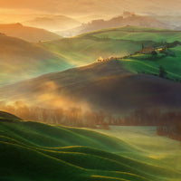 4-piece-canvas-print-morning-dreams
