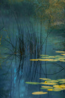 framedposter-print-aqua