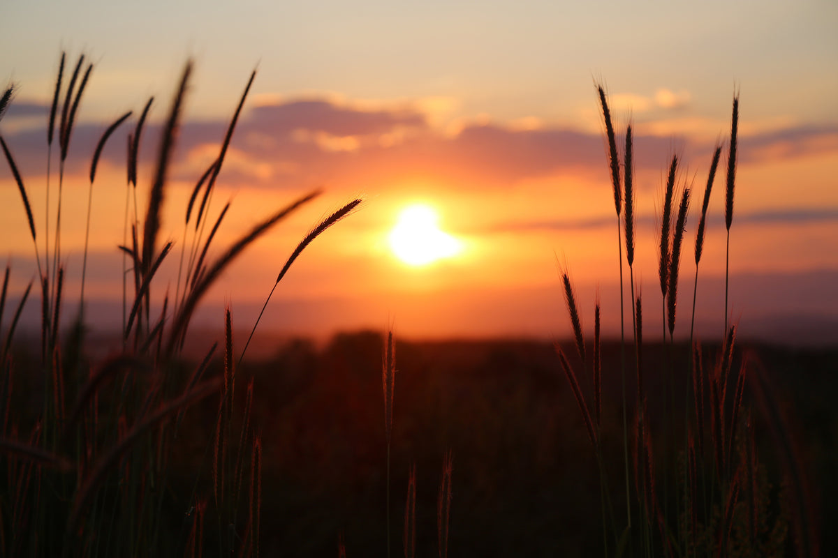 canvas-print-adorable-sunset