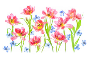 canvas-print-spring-delight-x