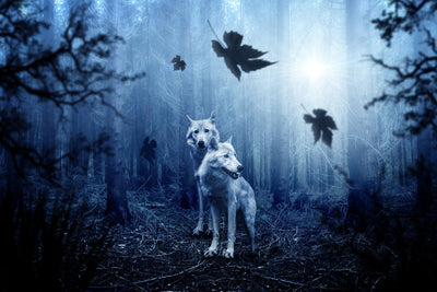 poster-print-wolf39s-couple