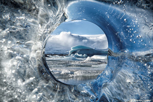 acrylic-print-circle-of-life-x