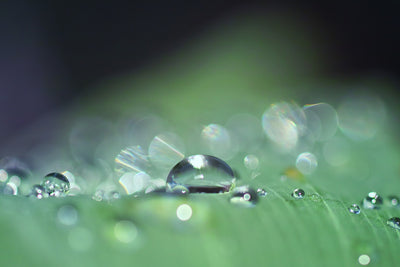 poster-print-drops-of-water-in-xxl