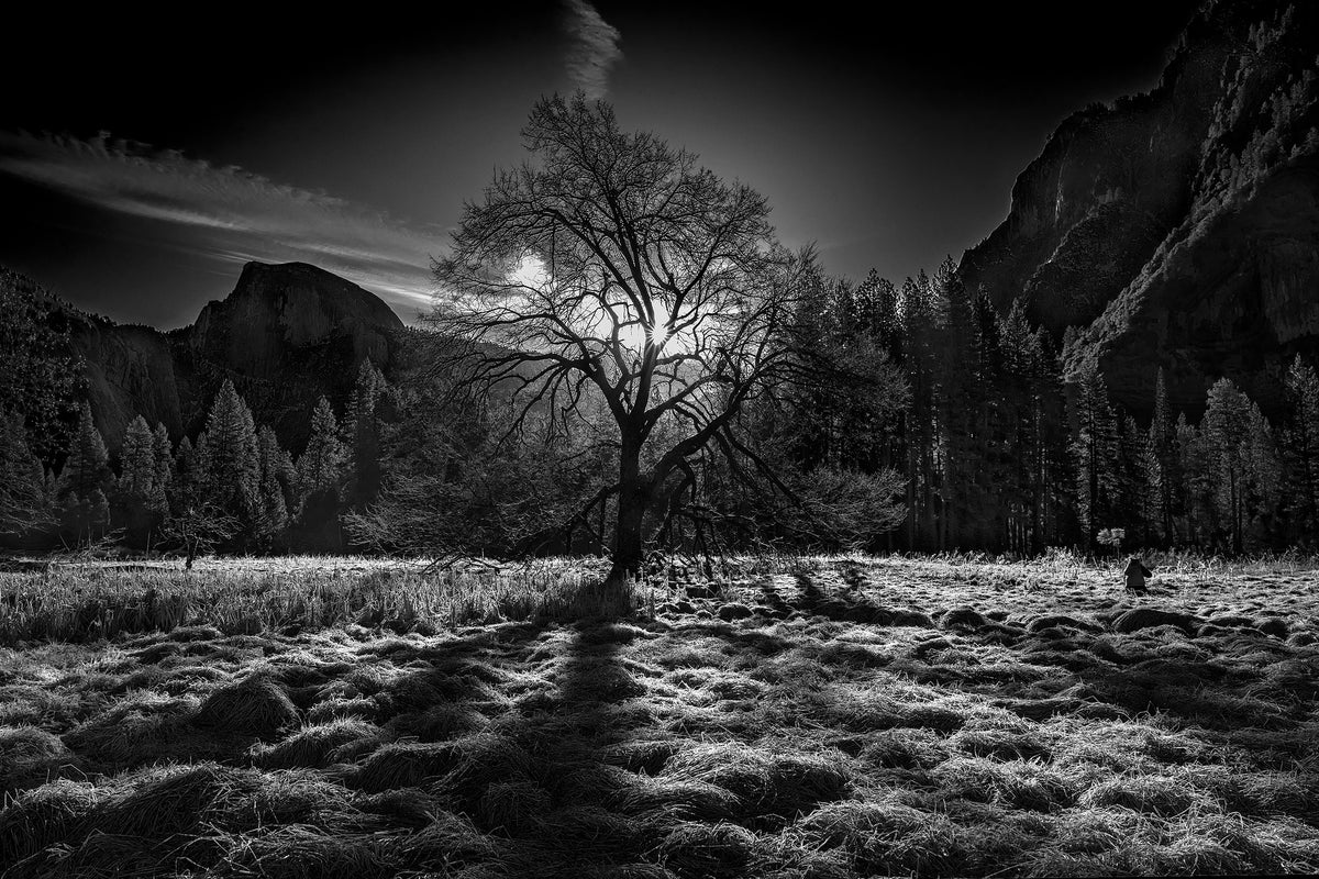 modern-3-piece-acrylic-print-the-winter-spirit