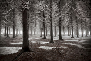 framedposter-print-the-onset-of-winter