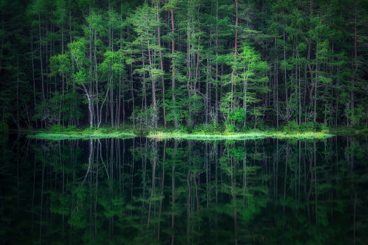 acrylic-print-green-world-x