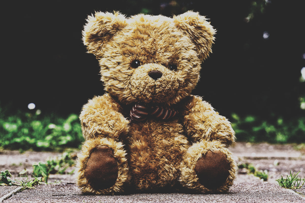 poster-print-love-teddy