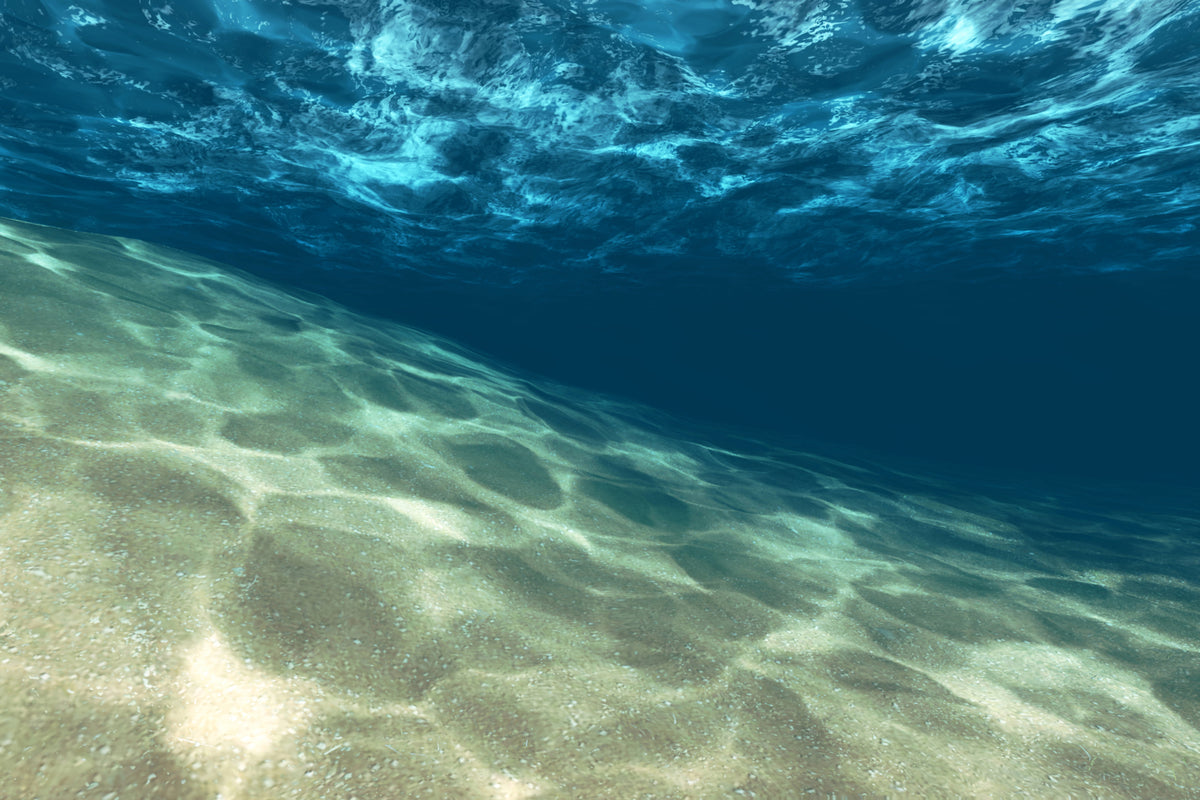 framedposter-print-under-the-water