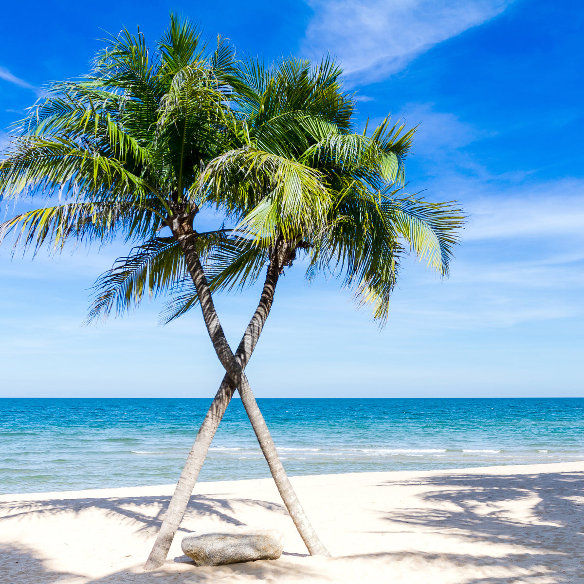 9-piece-aluminium-print-dream-beach-caribbean