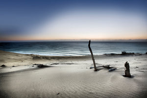 canvas-print-reach-for-the-sun-x