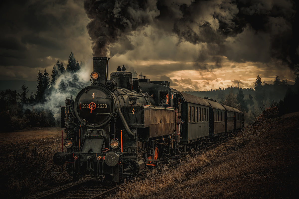 aluminium-print-gold-digger-train-x