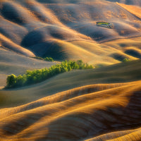 acrylic-print-fields-xlk