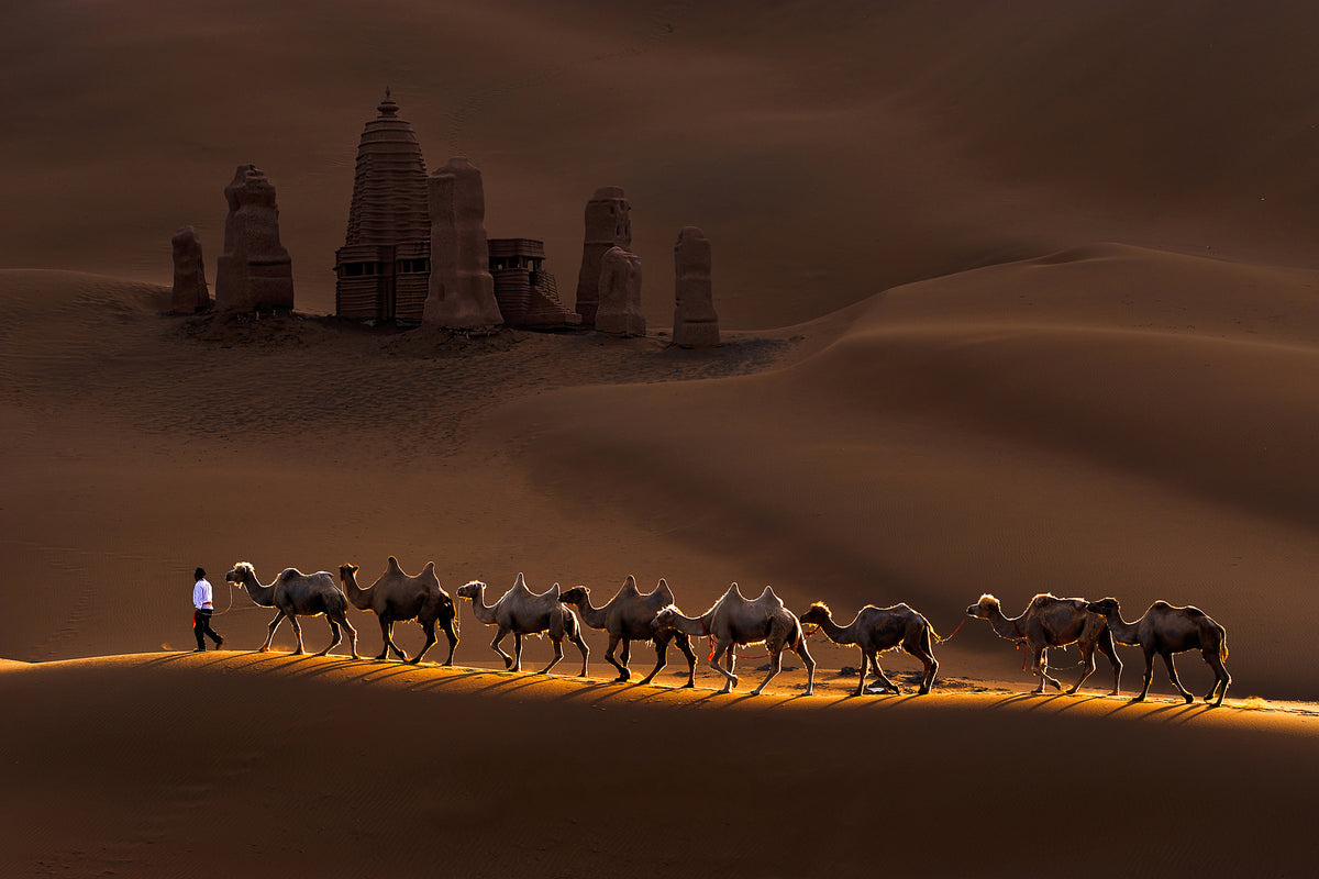 poster-print-castle-and-camels