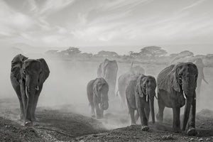 modern-3-piece-canvas-print-sequence-of-emotion